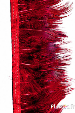 Franje Goudfazant - ver.-l. 6-8 cm - karmijn